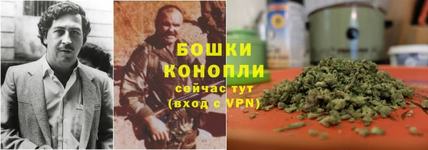 крисы Арсеньев