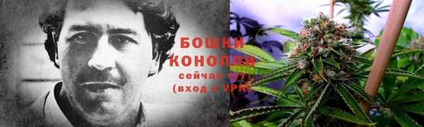 крисы Арсеньев