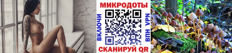 Псилоцибиновые грибы Magic Shrooms  цена   Удомля 